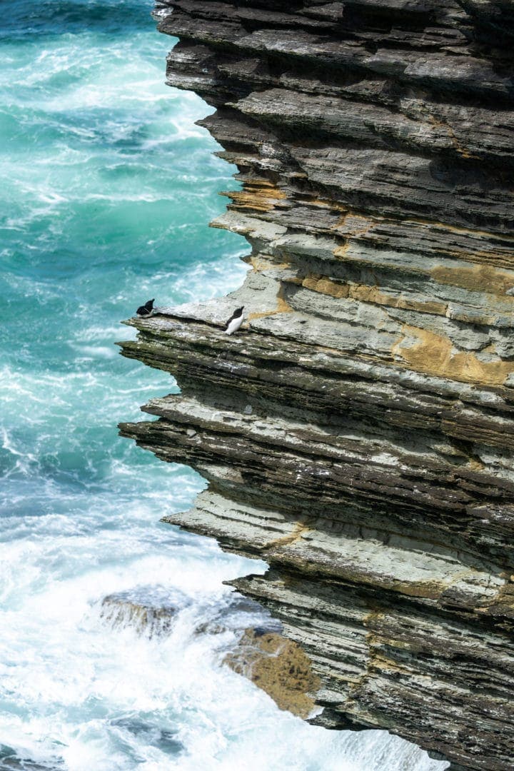 Brough-of-Birsay-cliffs