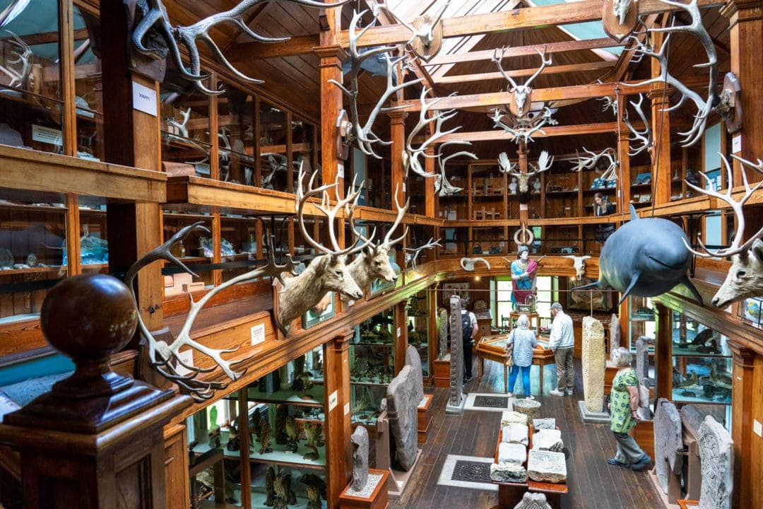Dunrobin-Castle-Museum with animal heads on the walls and stuffed animals in glass cabinets
