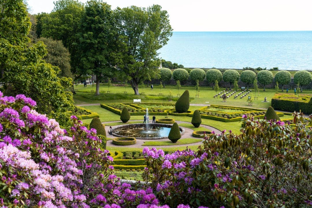 Dunrobin-garden-and-falconry-lawn with purple flowers in the foreground and the sea in the background