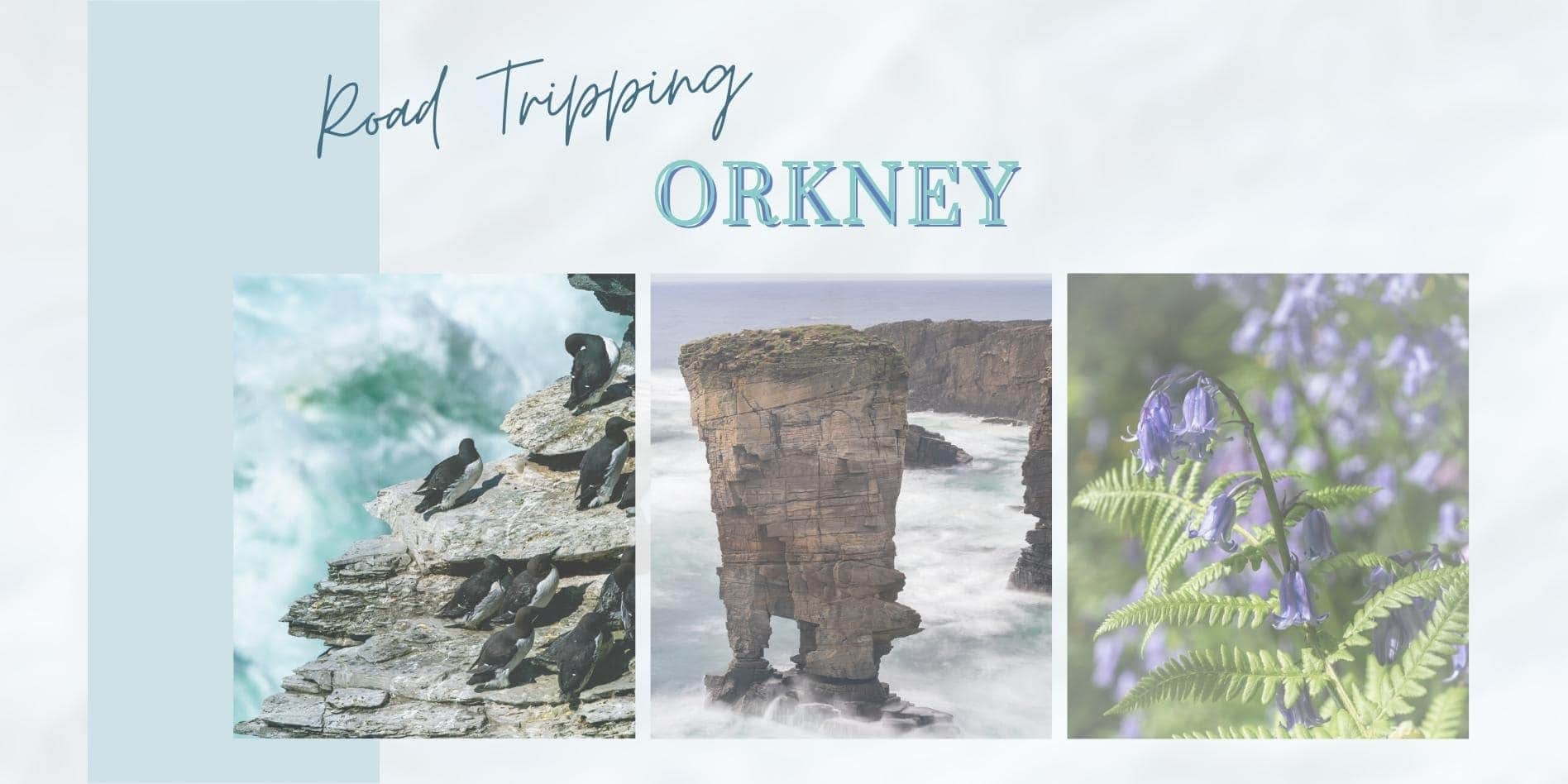 Orkney Itinerary Header