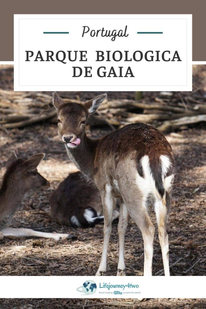 Parque Biologica de Gaia pinterest pin