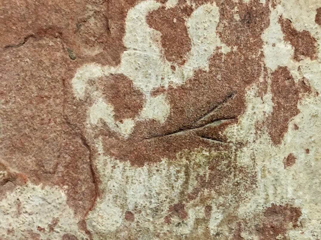 Fork like marking on the wall in St Magnus Cathedral