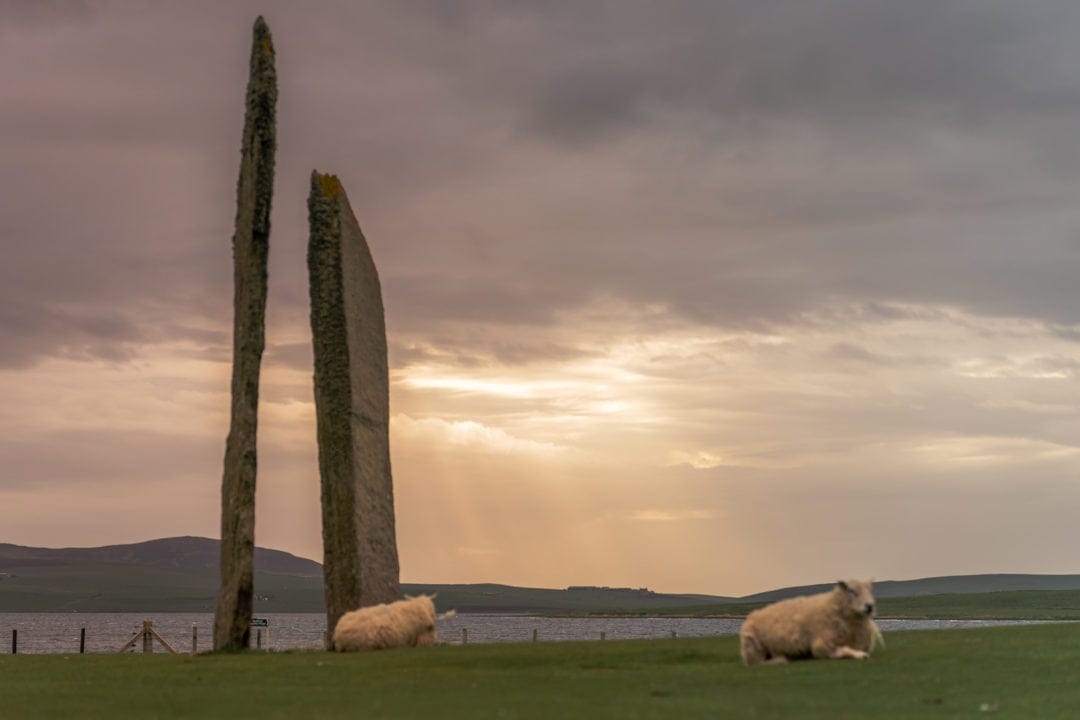 Standing Stones with a couple of sheep by the stones and sunset behind 