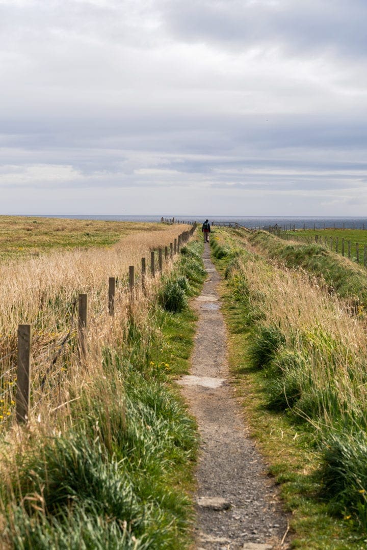 Halls Head Coastal Trail