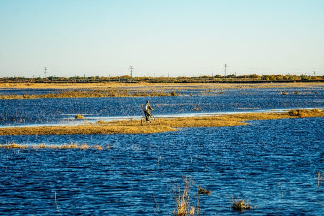 cyclist riding on grass islands amongst water