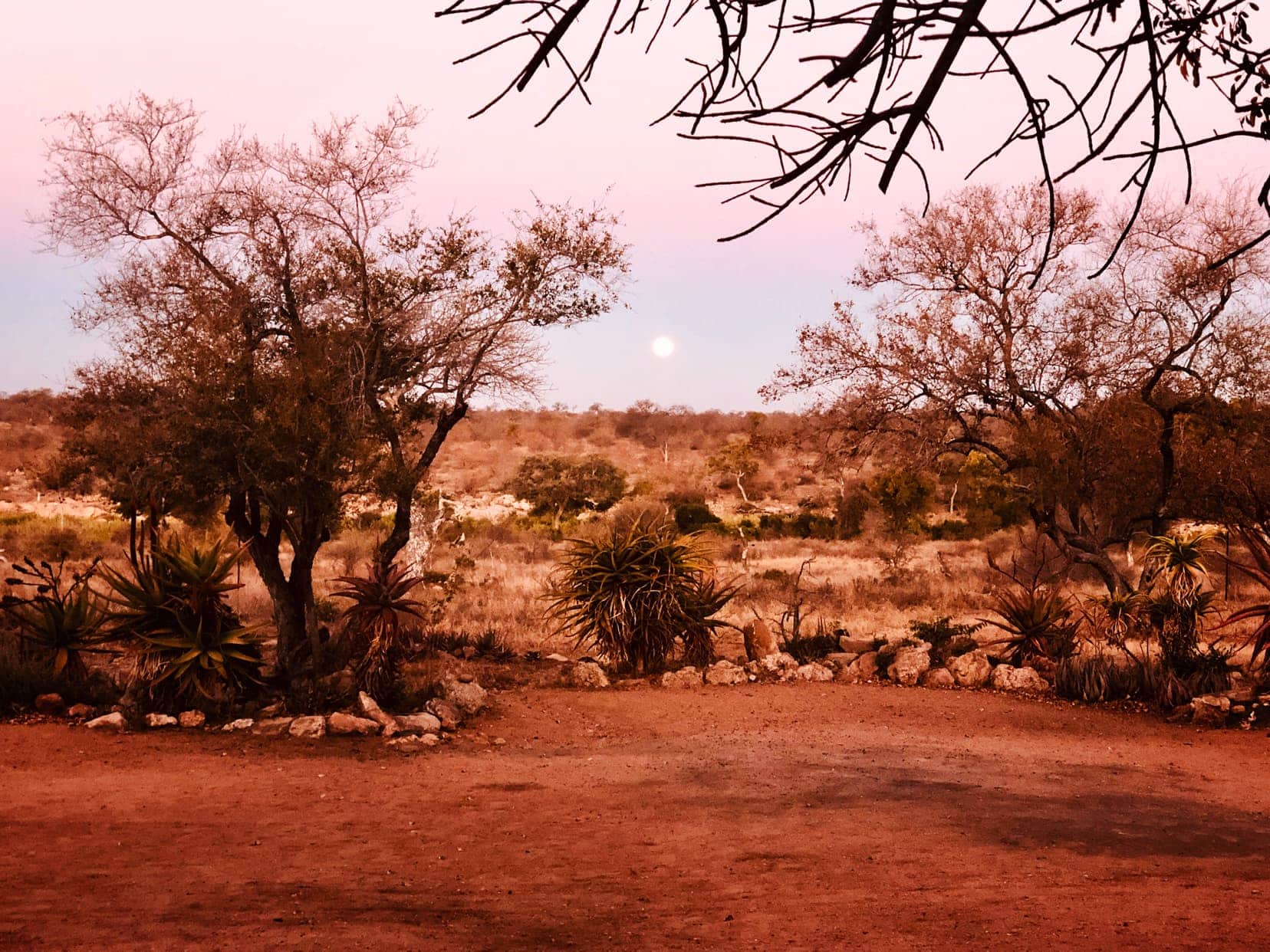 moon rising over Klaserie Nature Reserve