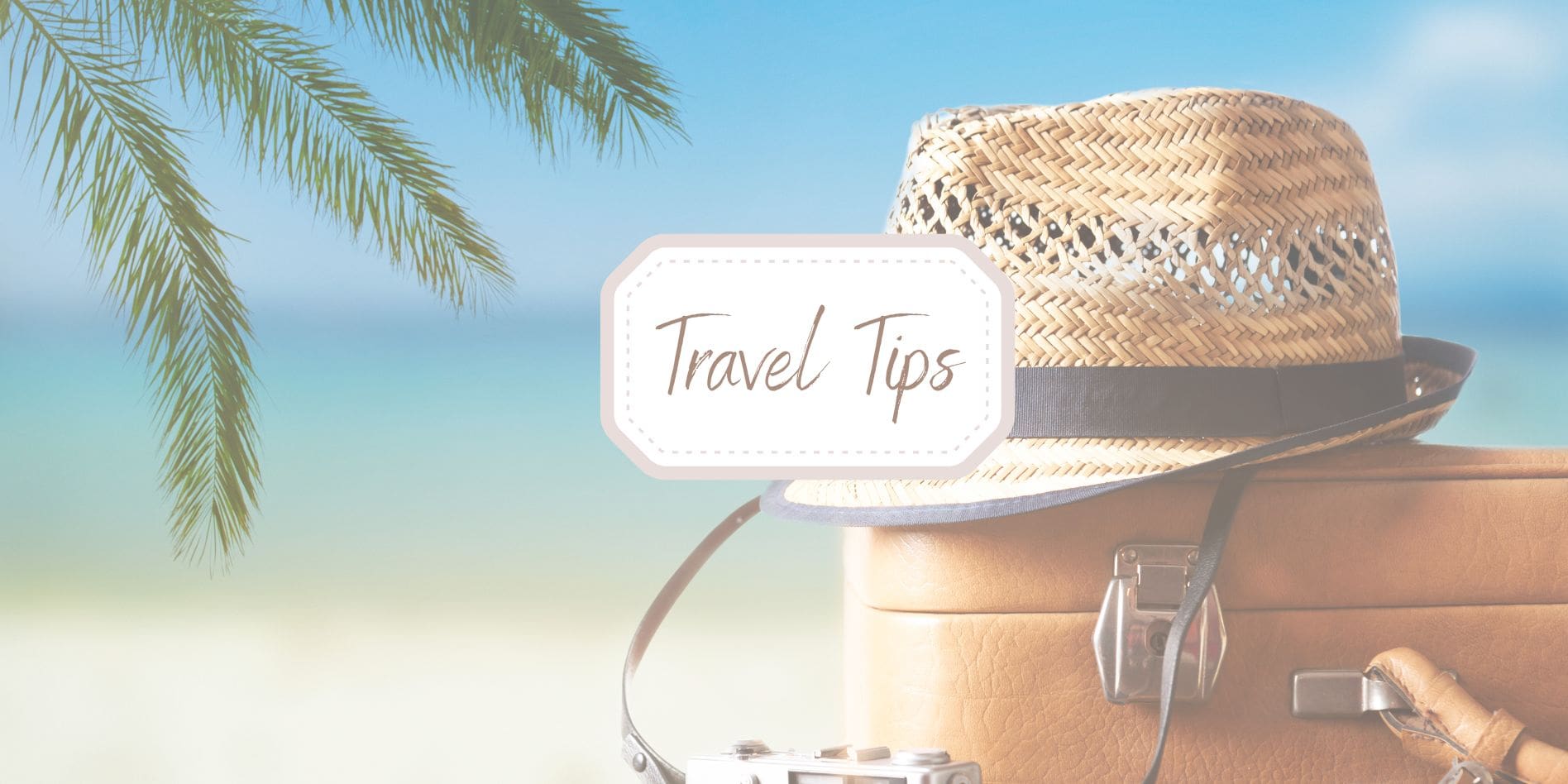 Travel Tips Header