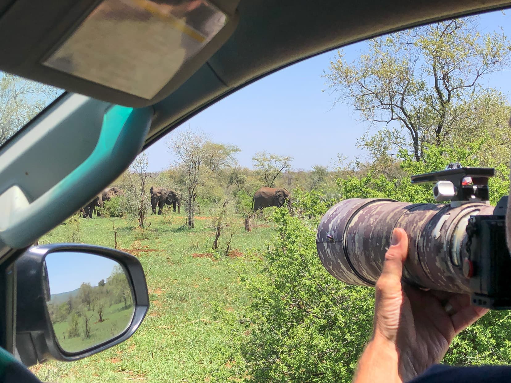 Taking photography shots from the car with a zoom lens of elephants in the distance 
