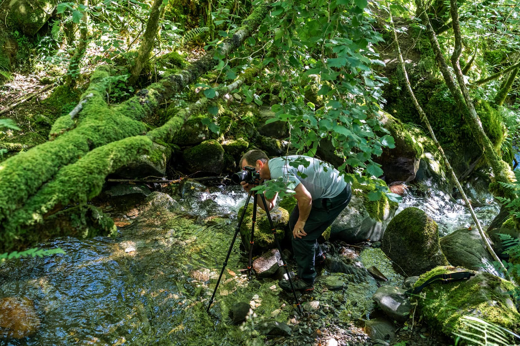 tripod-setup-in a stream with Lars looking through the eyepiece