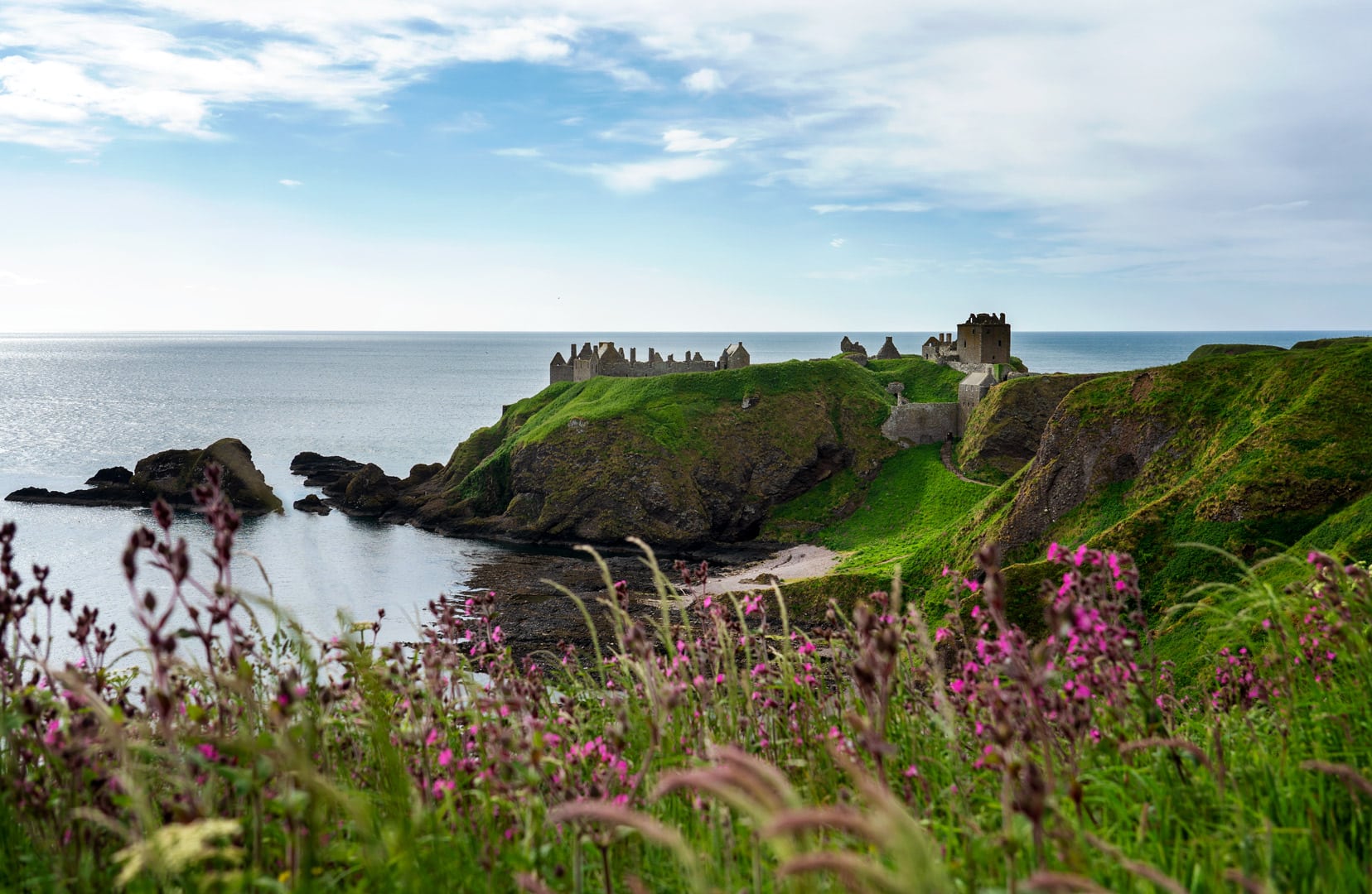 Scotland-Castle-Dunnotar-Castle with forground of wildflowers on clifftop 