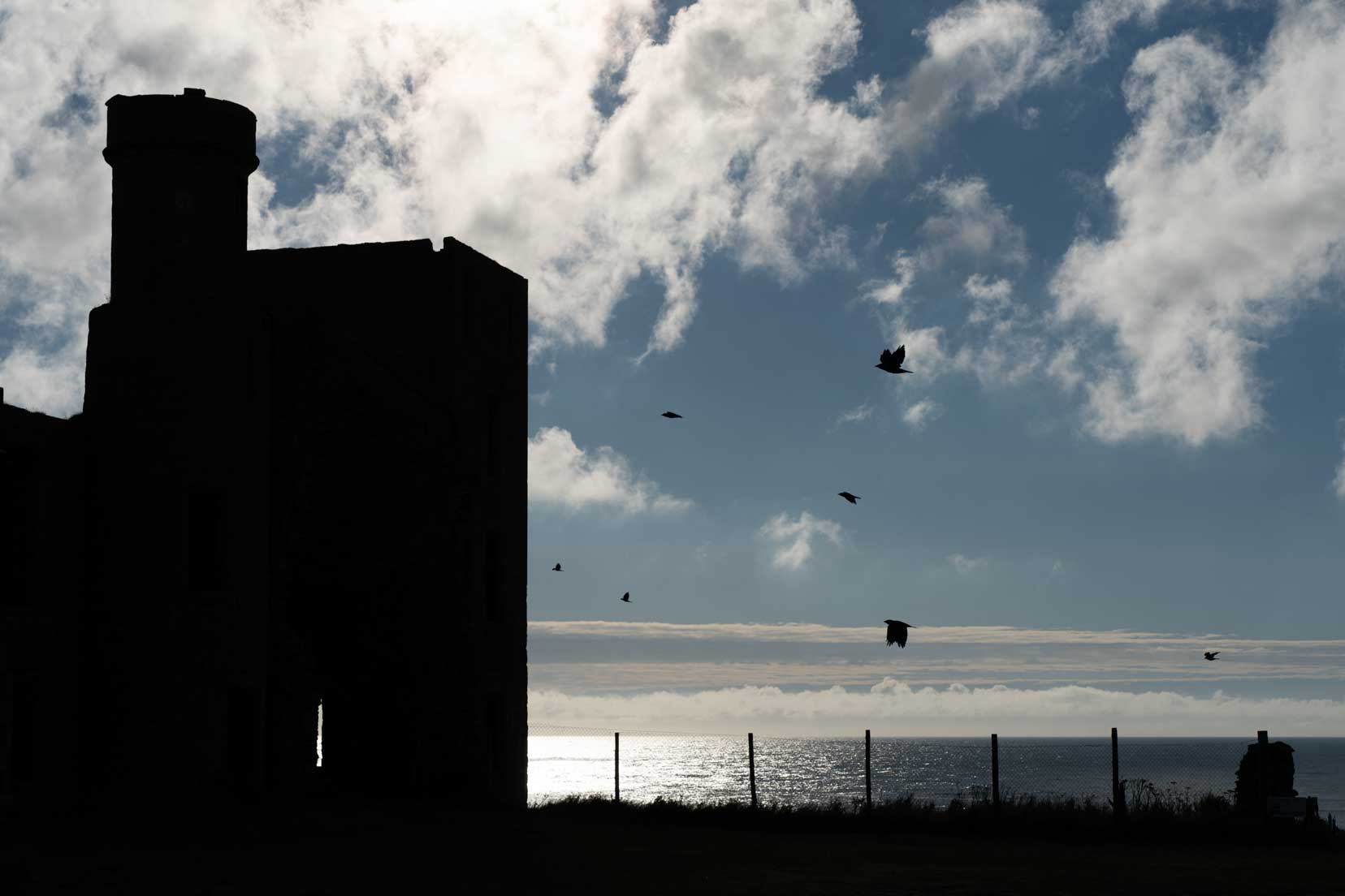 Aberdeenshire castles — Slains-Castle- with crows flying around. 