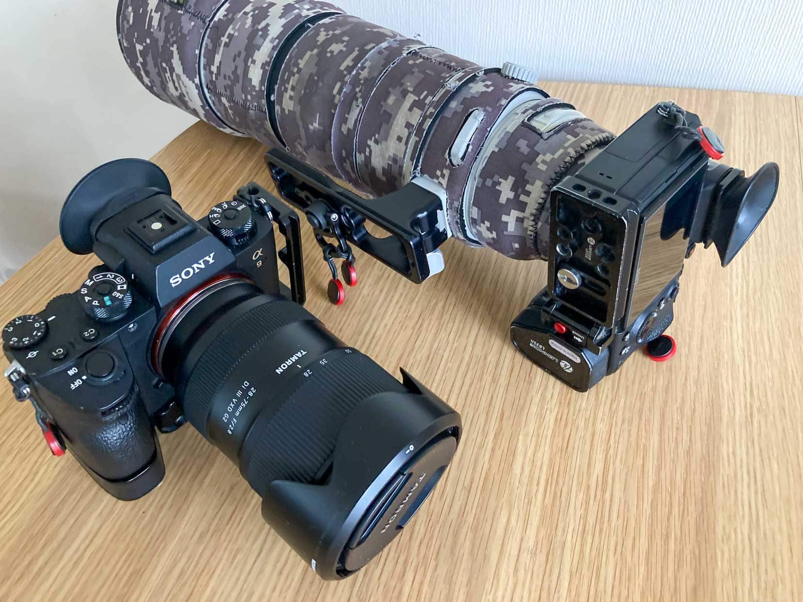 Sony 200-600 Bag Guide - Alpha Shooters