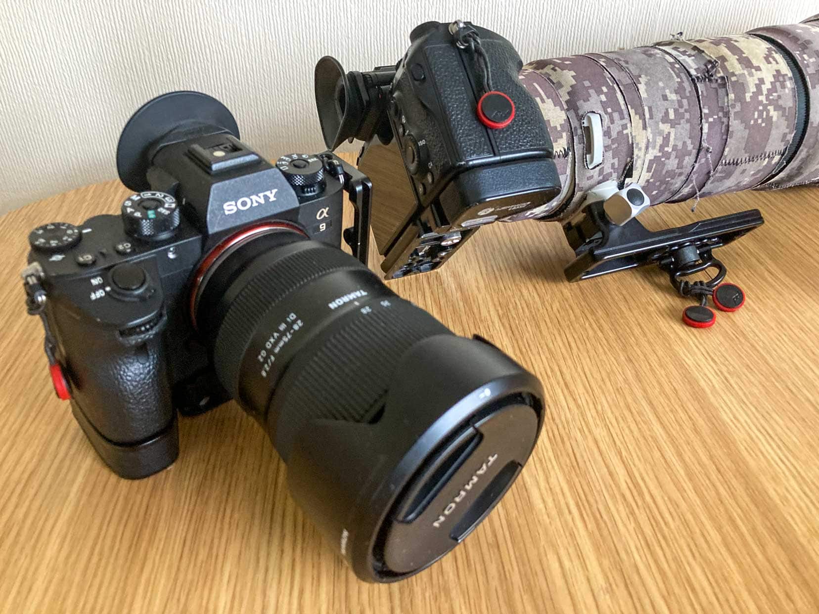 two sony cameras 
