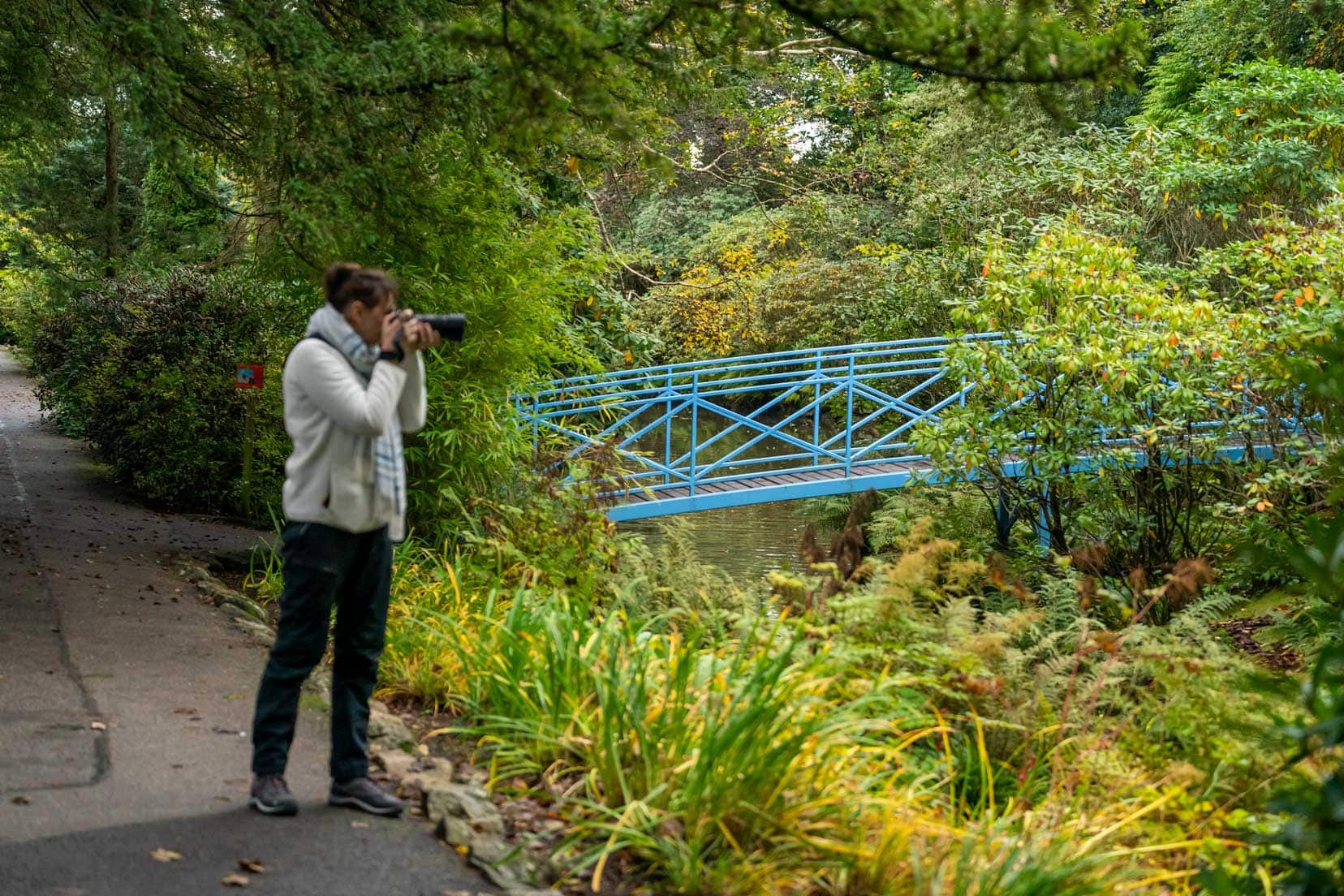 Aberdeen Johnston Gardens with a blue bridge and lots of bushes and trees