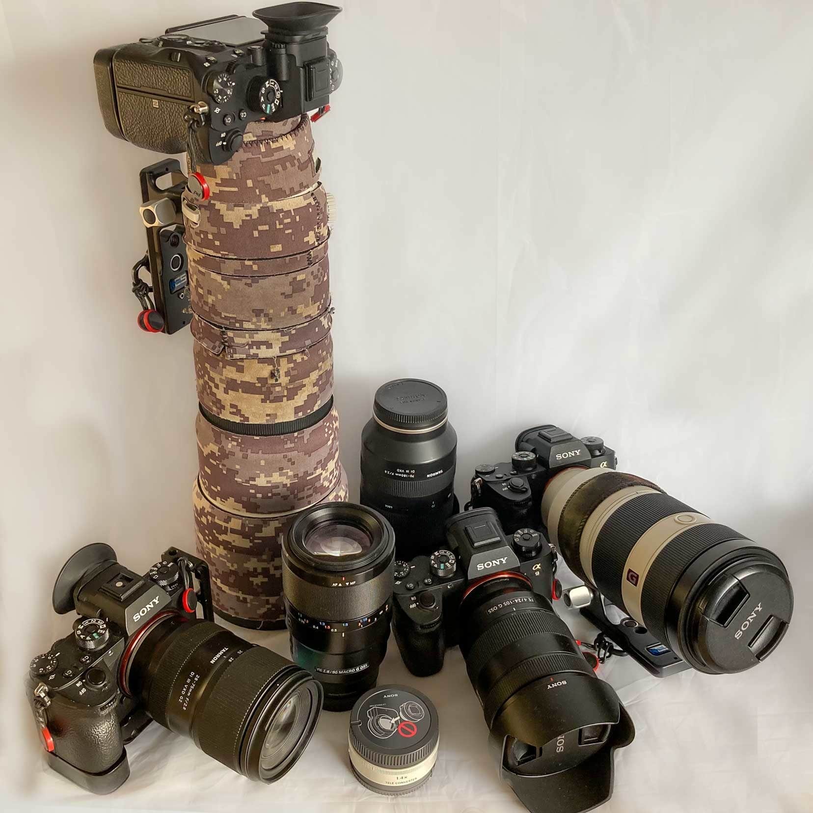 SONY 200-600mm VS PANASONIC 100-400mm📸 Which is the best SUPER  TELEOBJECTIVE? 