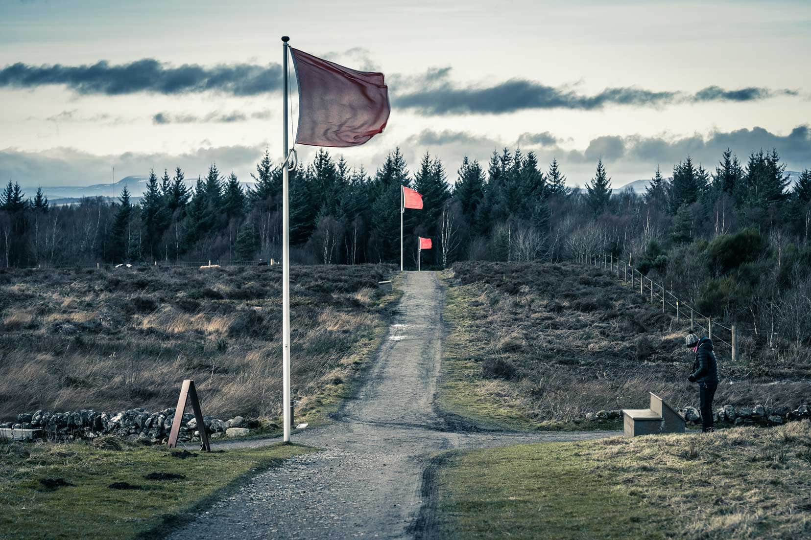 Culloden Battlefield - long path through moorlans with pine trees i the backgroundand red flags on poles speced out beside the path. Shelley is reading a sign to the left