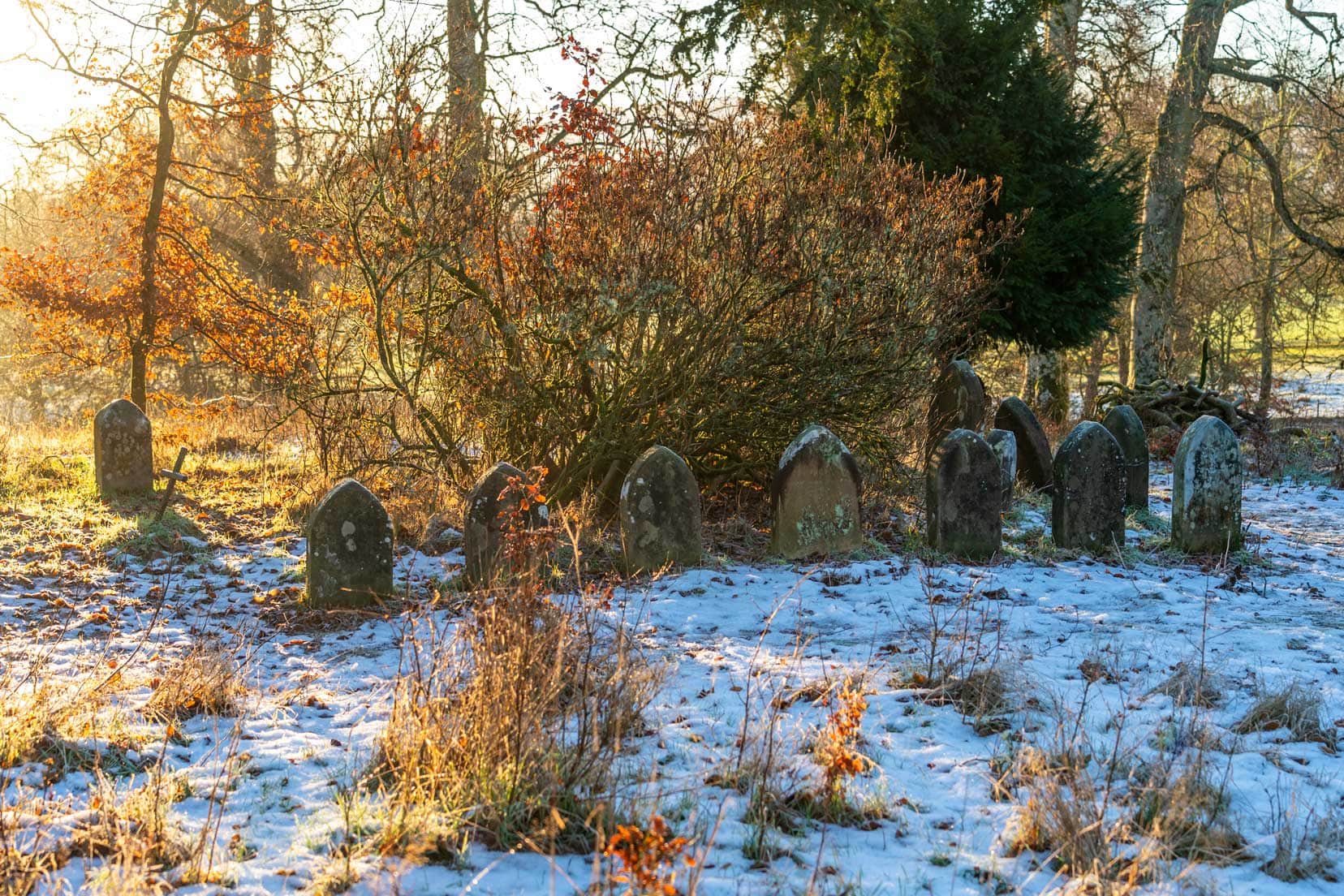 Cemetery for pets with lots of gravestones