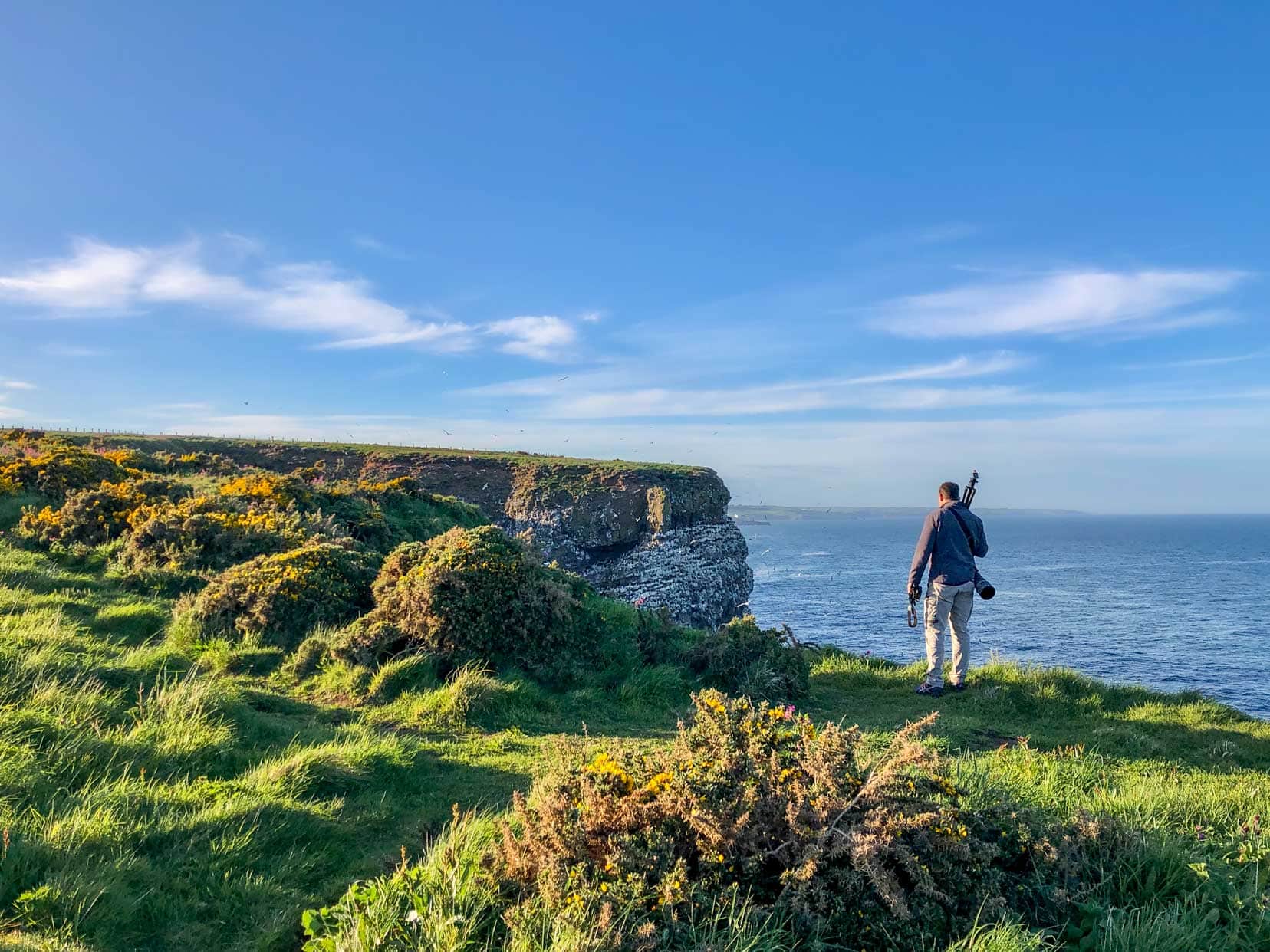 The Fowlsheugh Coastal Walk in Aberdeenshire