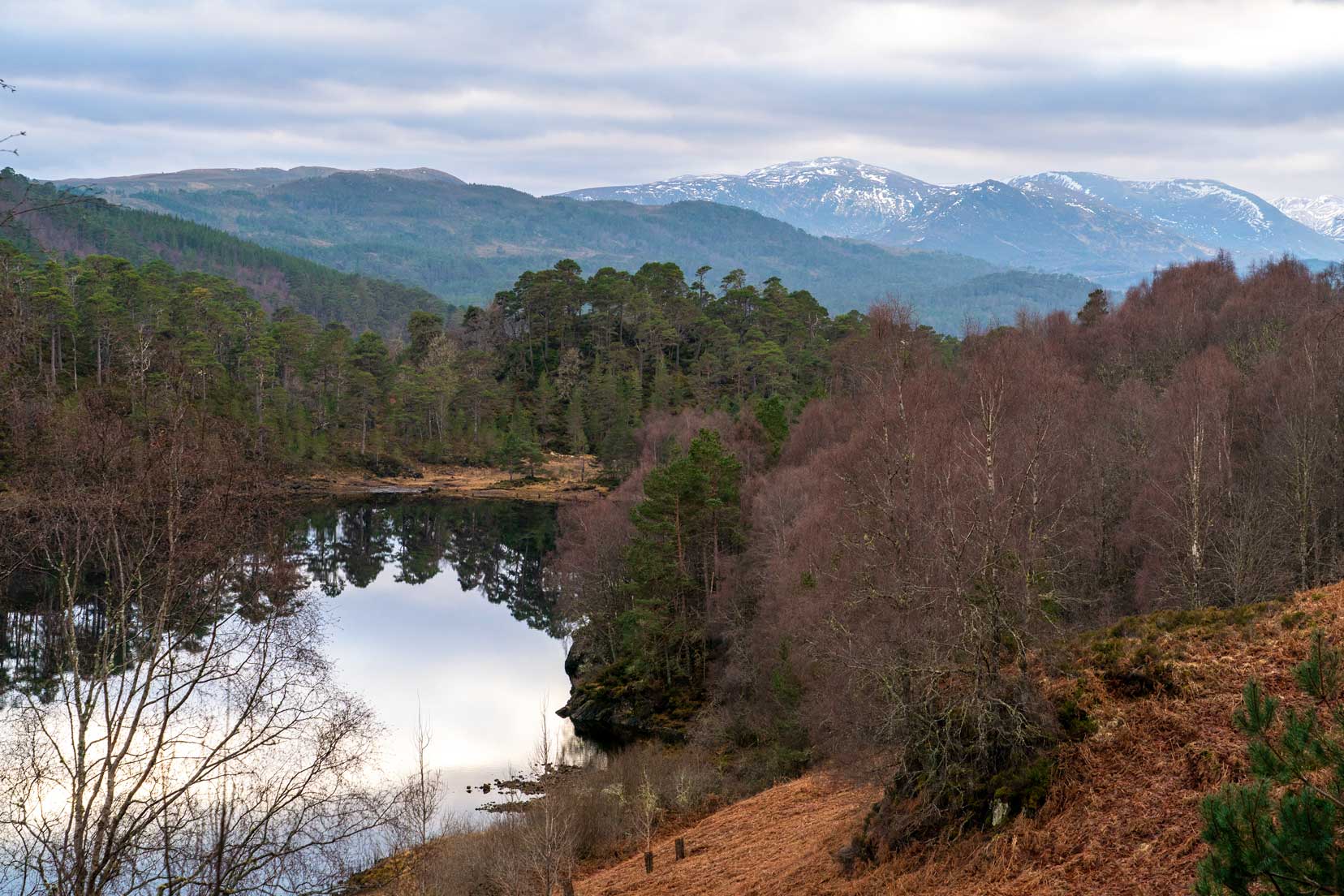 Glen Affric