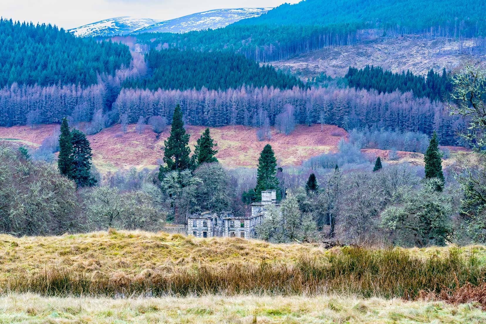 Glen Affric showing off the different autumn mountain foliage colours