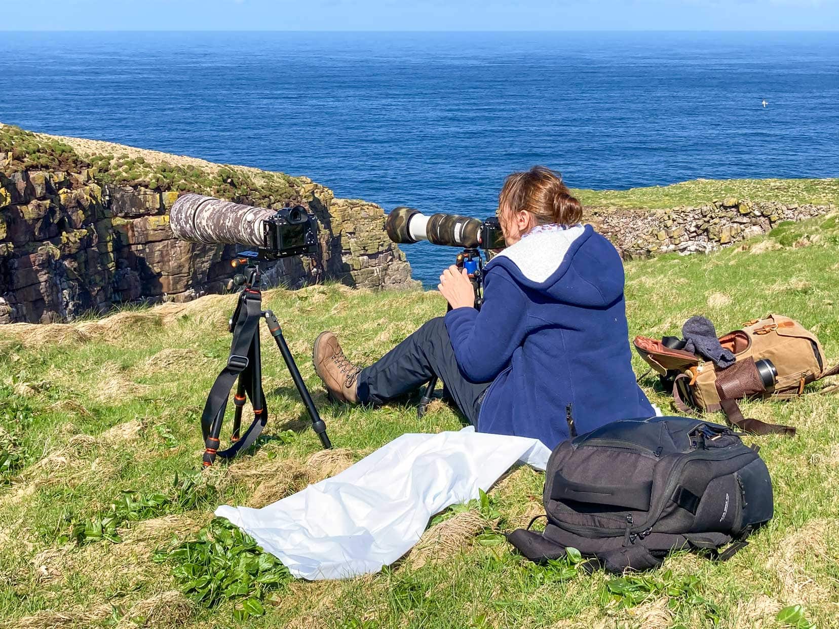 Handa-Island shooting a high frame rate for birds