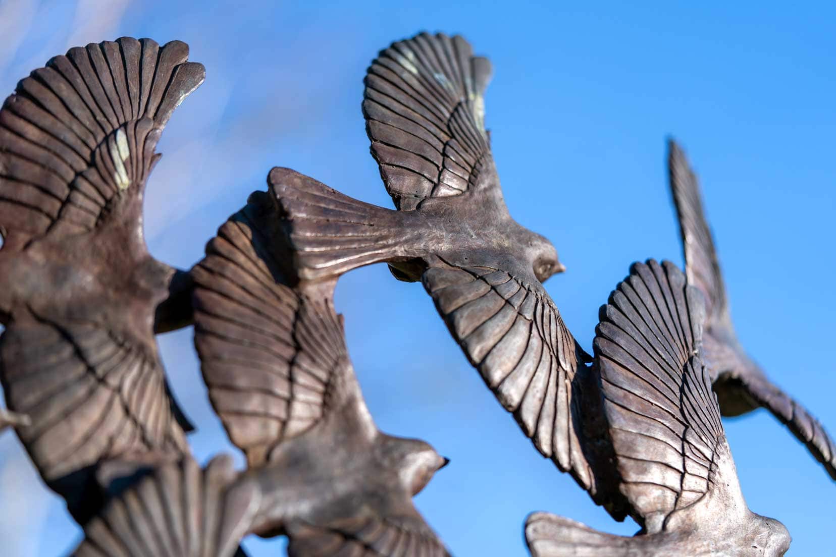 Hazelhead-Park-sculptures - flying birds
