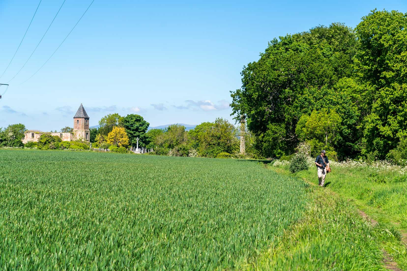 Paths-above-Cromarty town