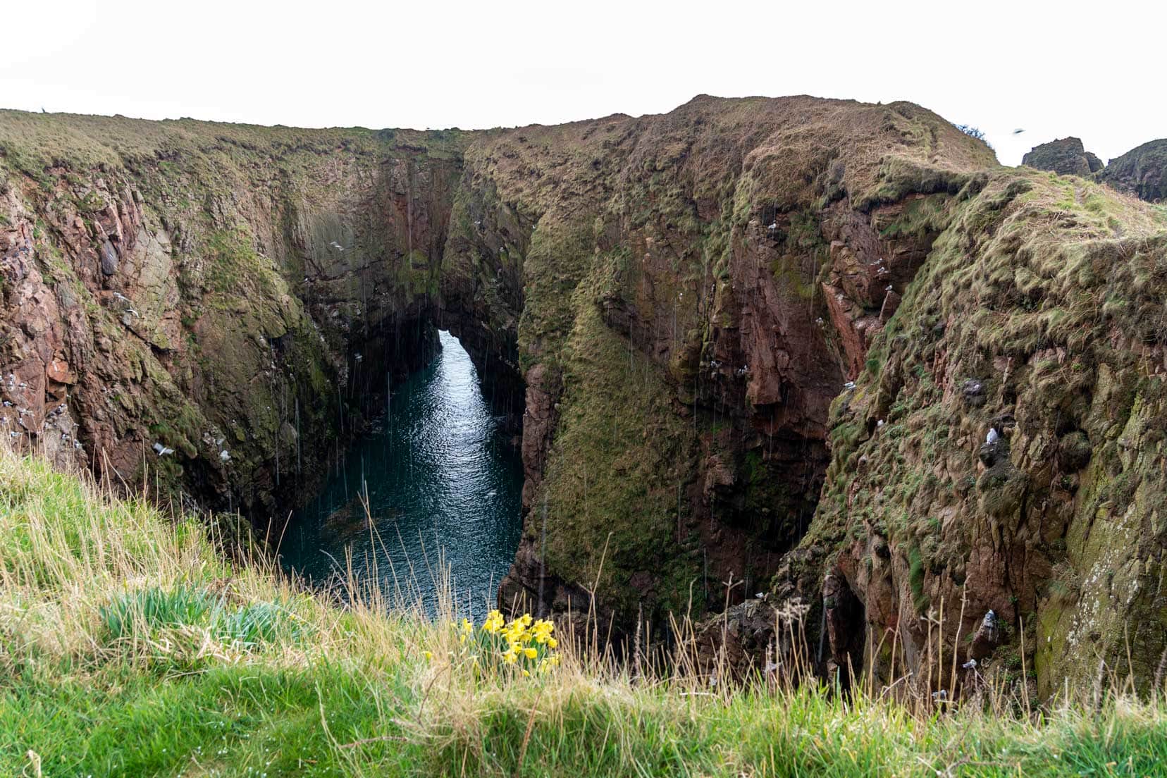 bullers-of-buchan cave hole 