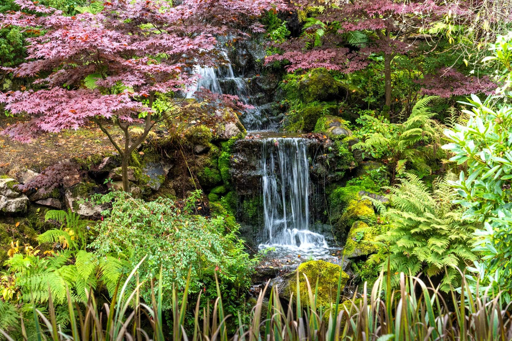 Things-to-do-in-Aberdeen_autumn-colours and a waterfall at Johnston Gardens