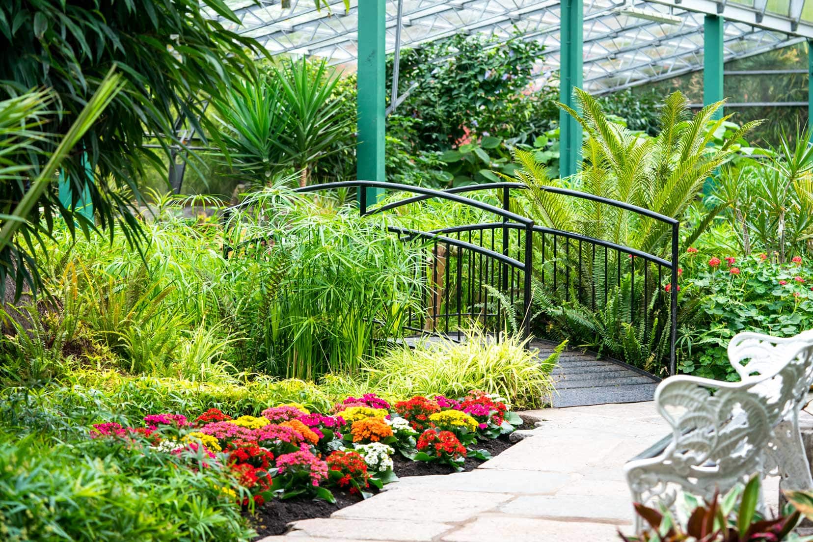 Things-to-do-in-Aberdeen_inside duthie-park-winter-gardens with arched bridge and flower borders