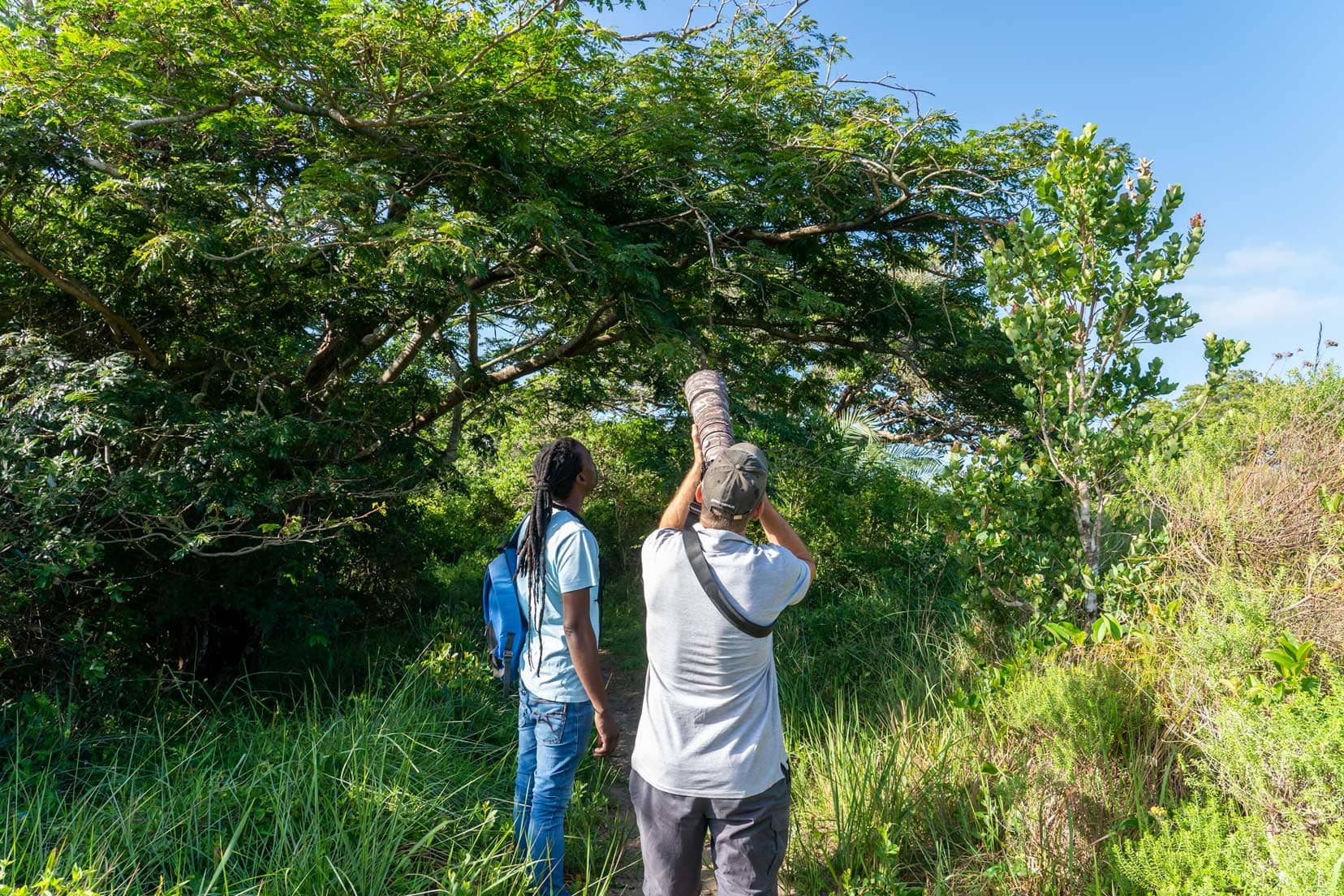 bird watching on iSimangaliso walking tour