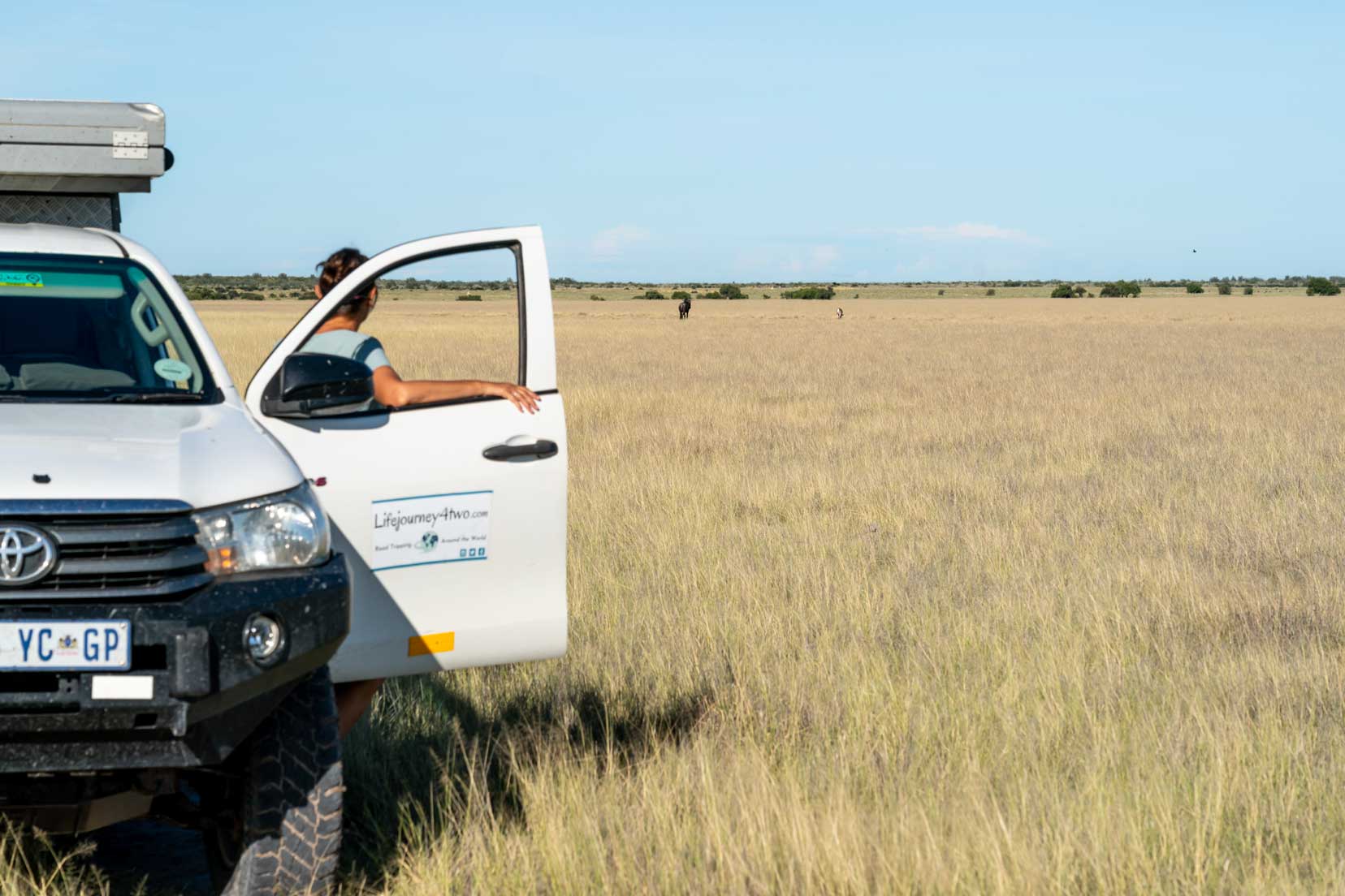 Shelley by vehicle looking out over the grasses on Piper Pan