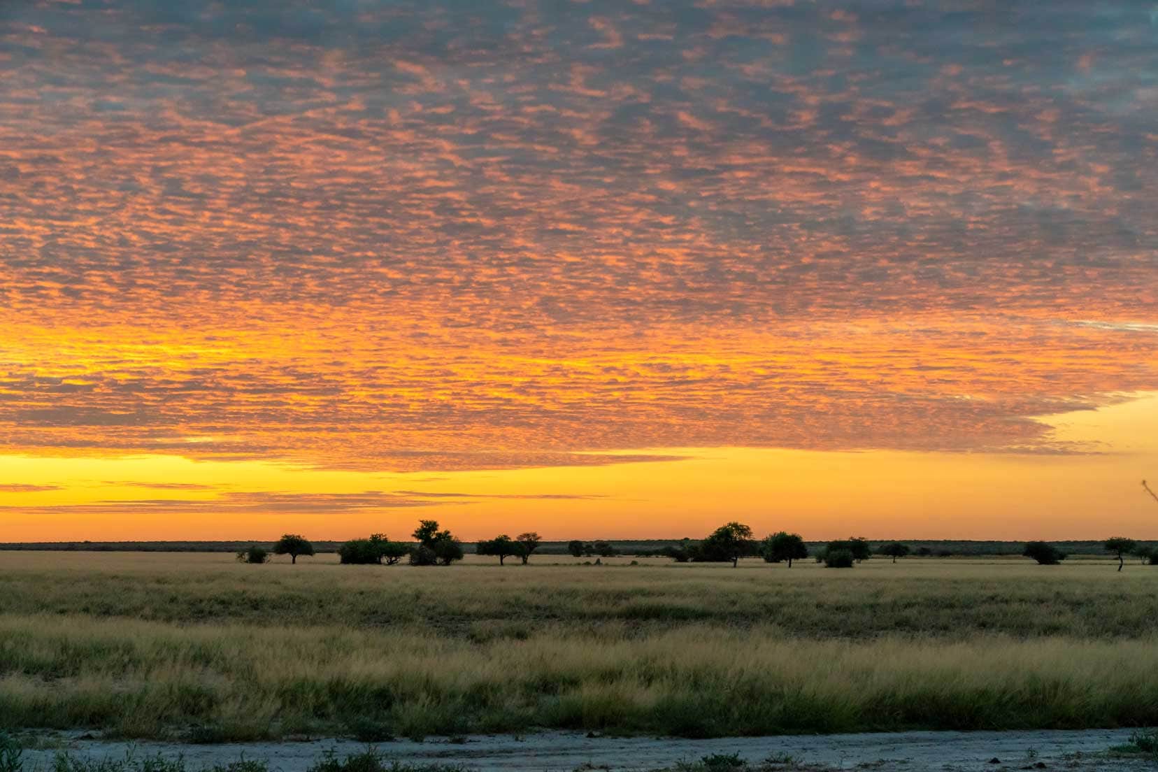 Sunrise at Piper Pan