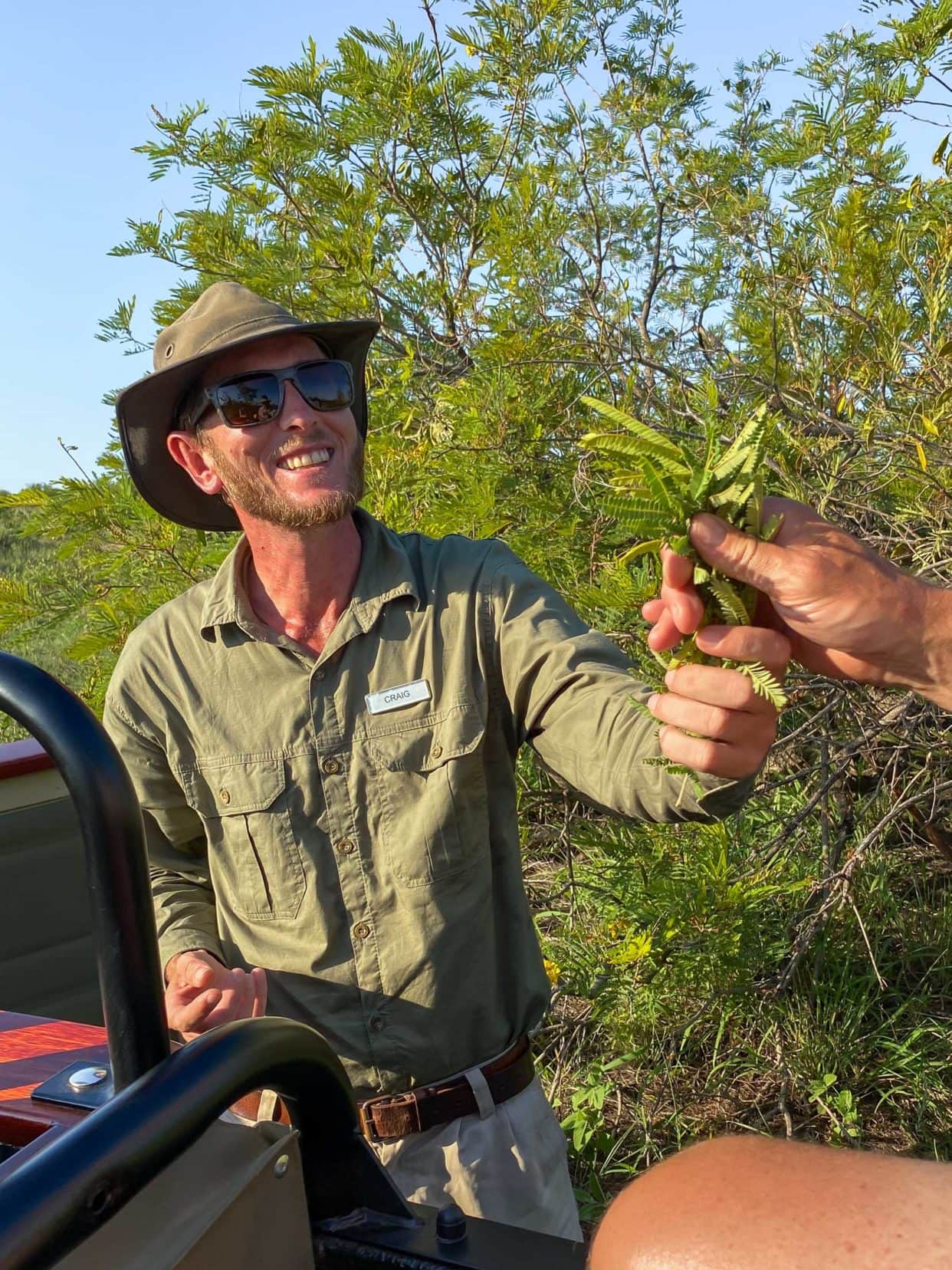 Craig sharing a few leaves of weeping wattle 