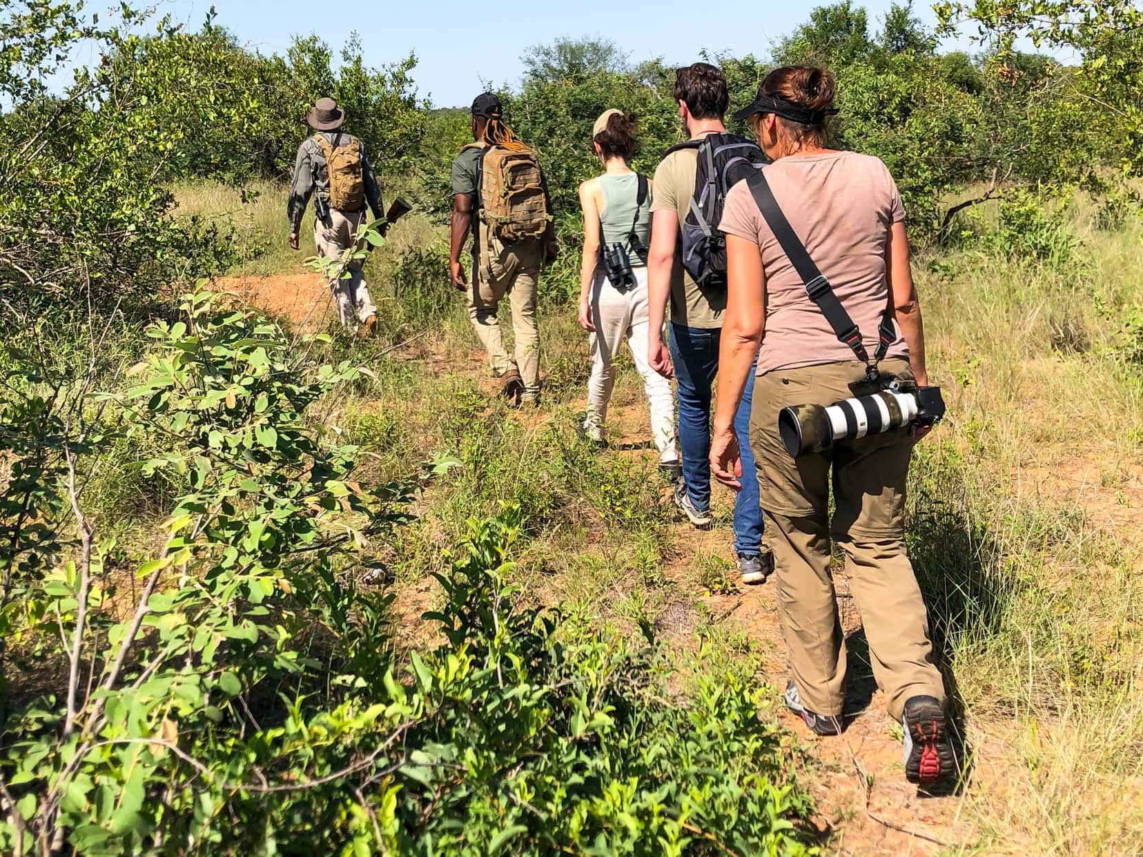 Ivory wilderness rover Rock Lodge walking safari - single file  of 5 people 