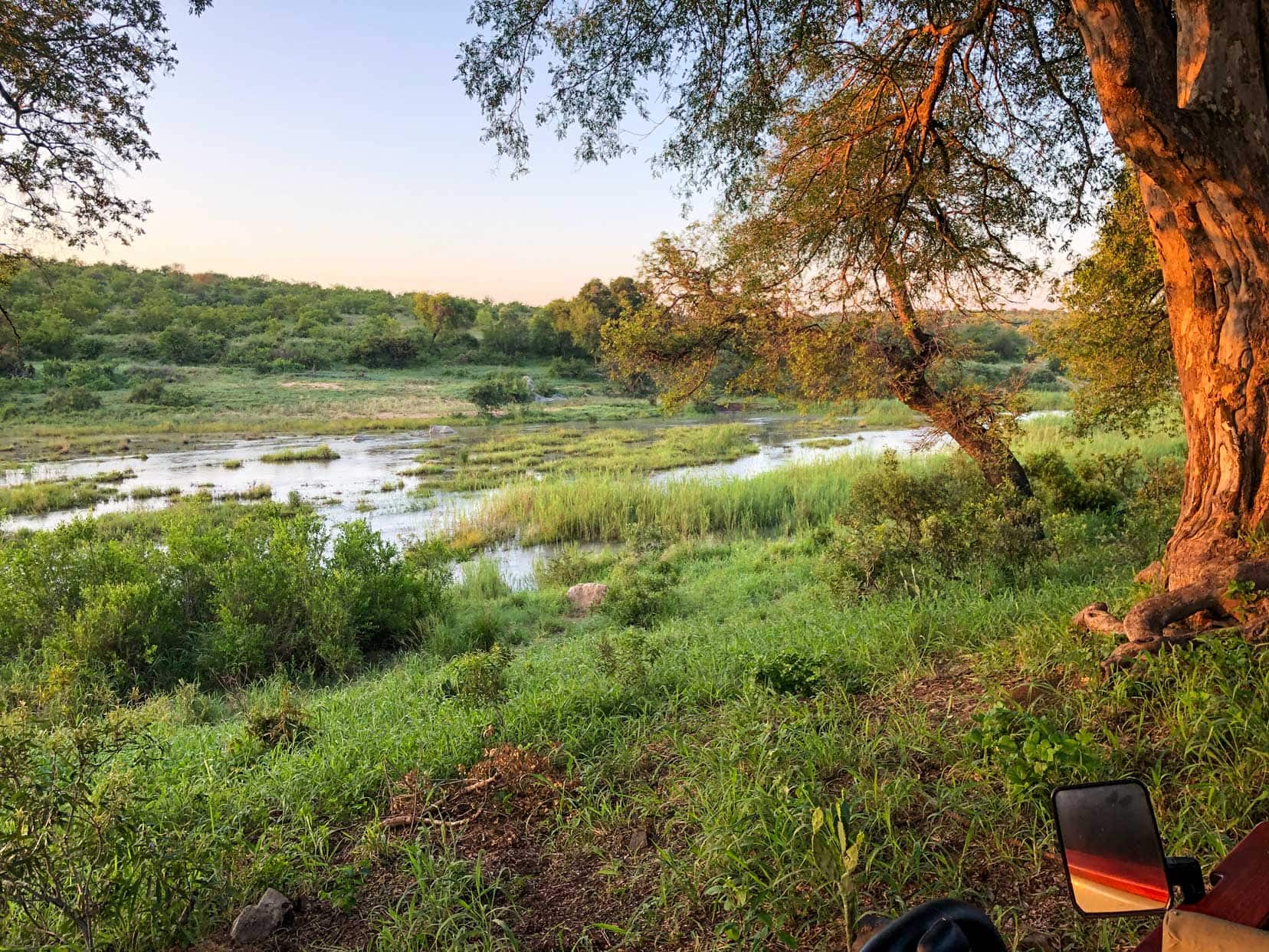 Scenery on the game drive - river and green shrubs