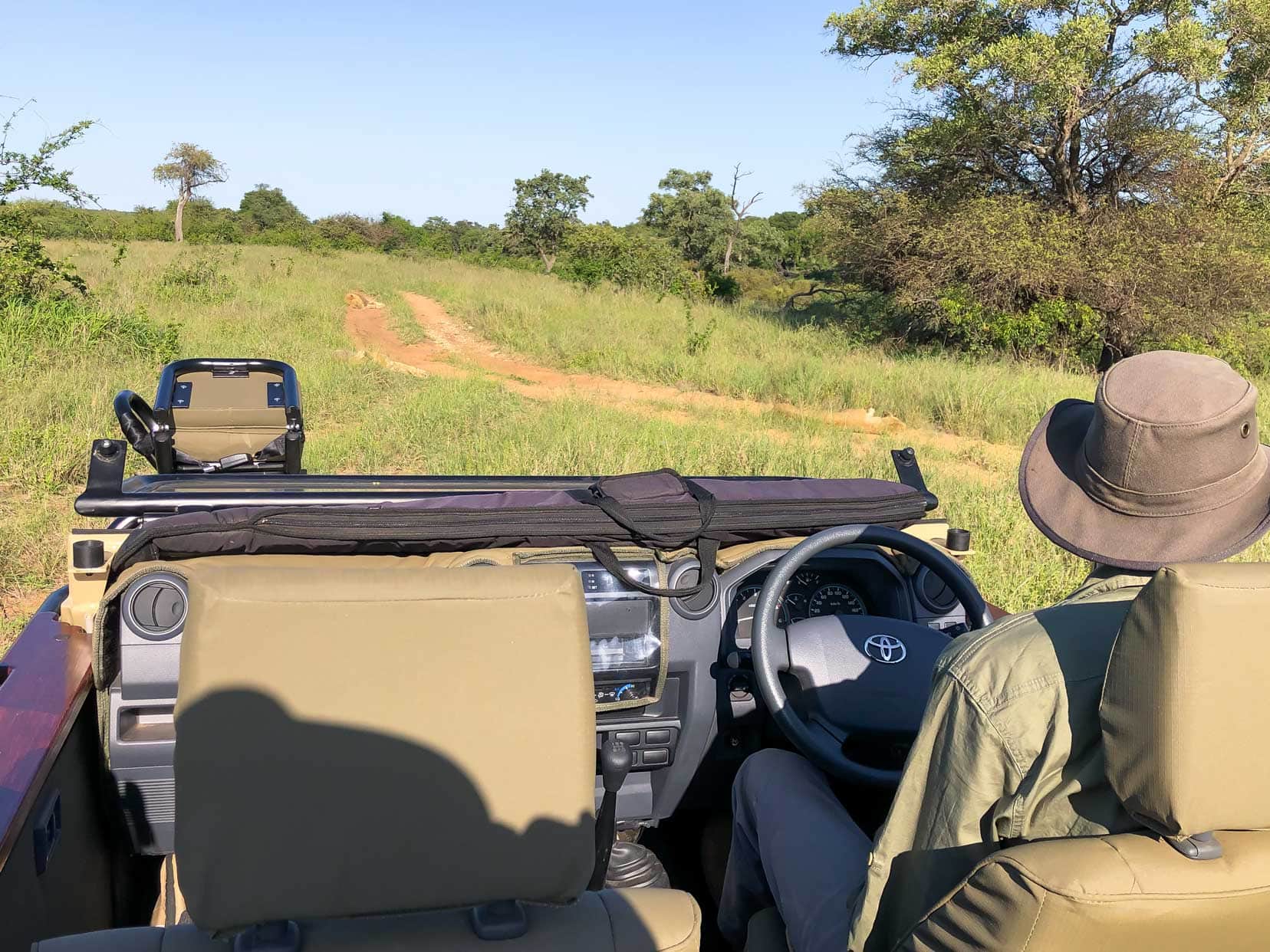 Game Drive view form back of vehicle and sandy track in front