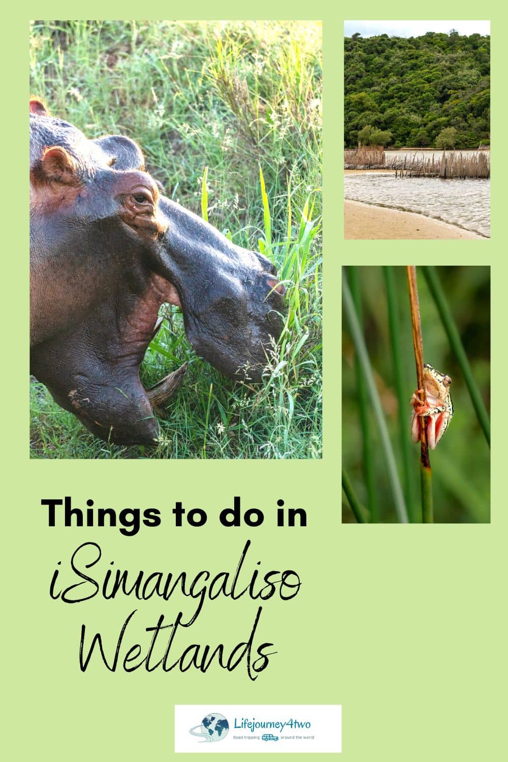 iSimangaliso wtland park activities pinterest pin