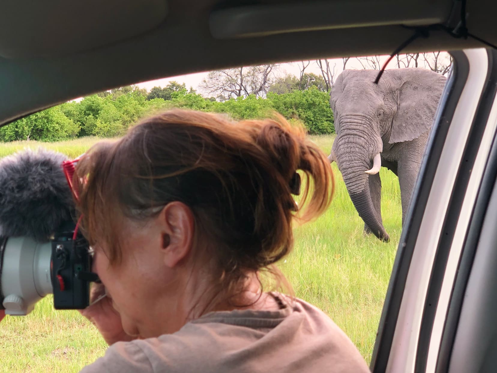 Khwai-community-concession-elephant-near-car