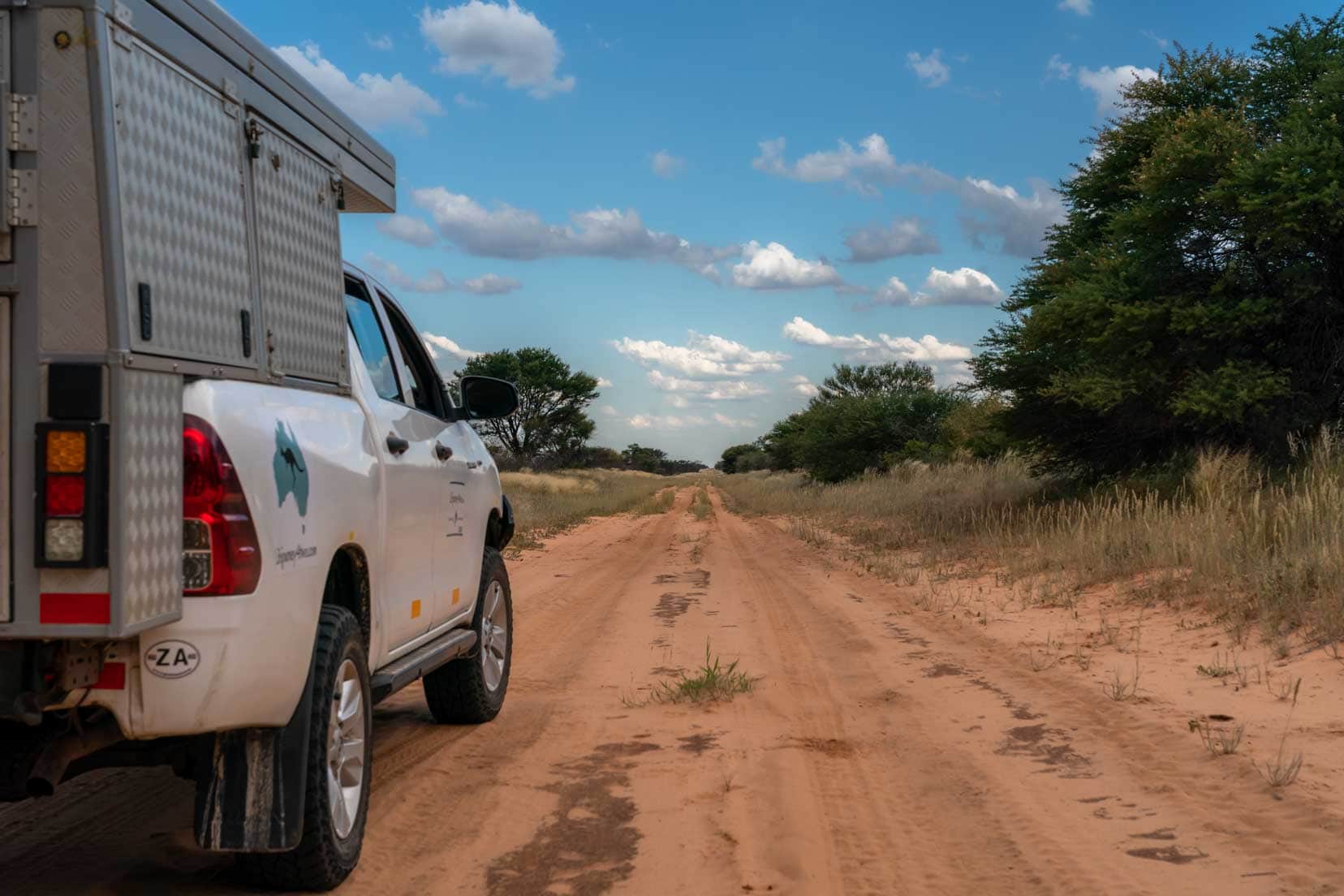 bucky-on-track in the kgalagadi