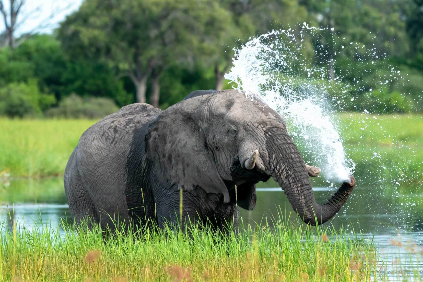 elie-spraying-water-in-river