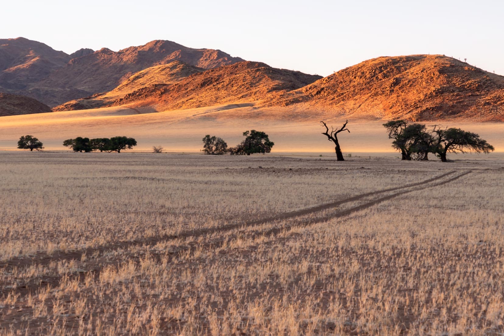 Sunrise landscape photo at Kanaan desert retreat with sun hitting reddish mountains and a few trees in the background