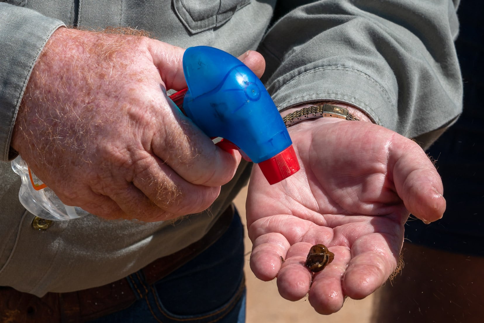 addnig-water-to-seed-pod