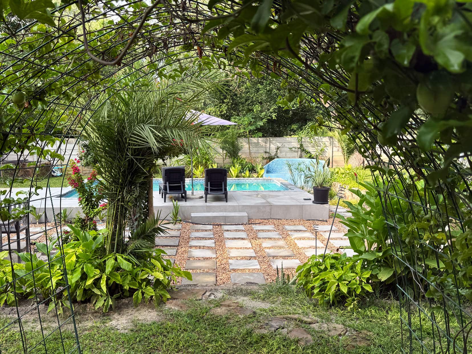 View of the pool from the cottage 