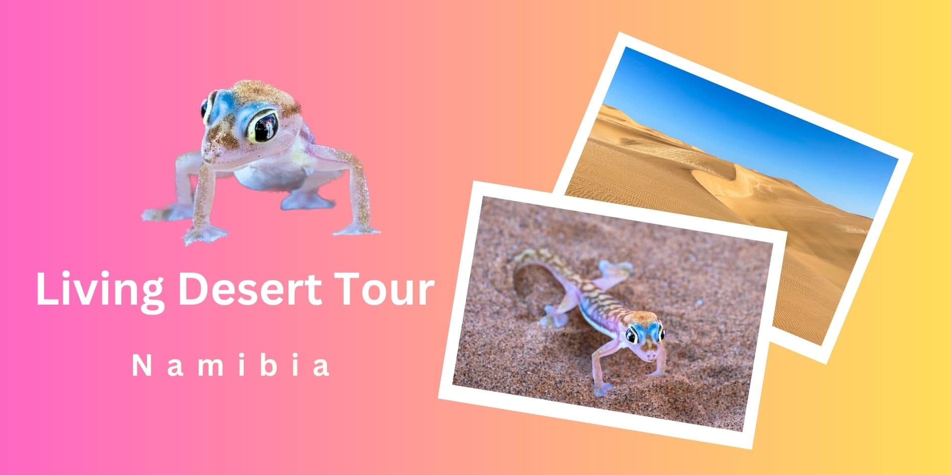 Living Desert Tour Namibia Header