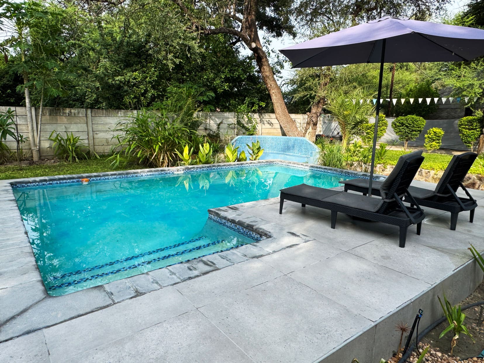 View of the swimming pool at Acacia Cottage surrounded by lush trees and two sun beds 