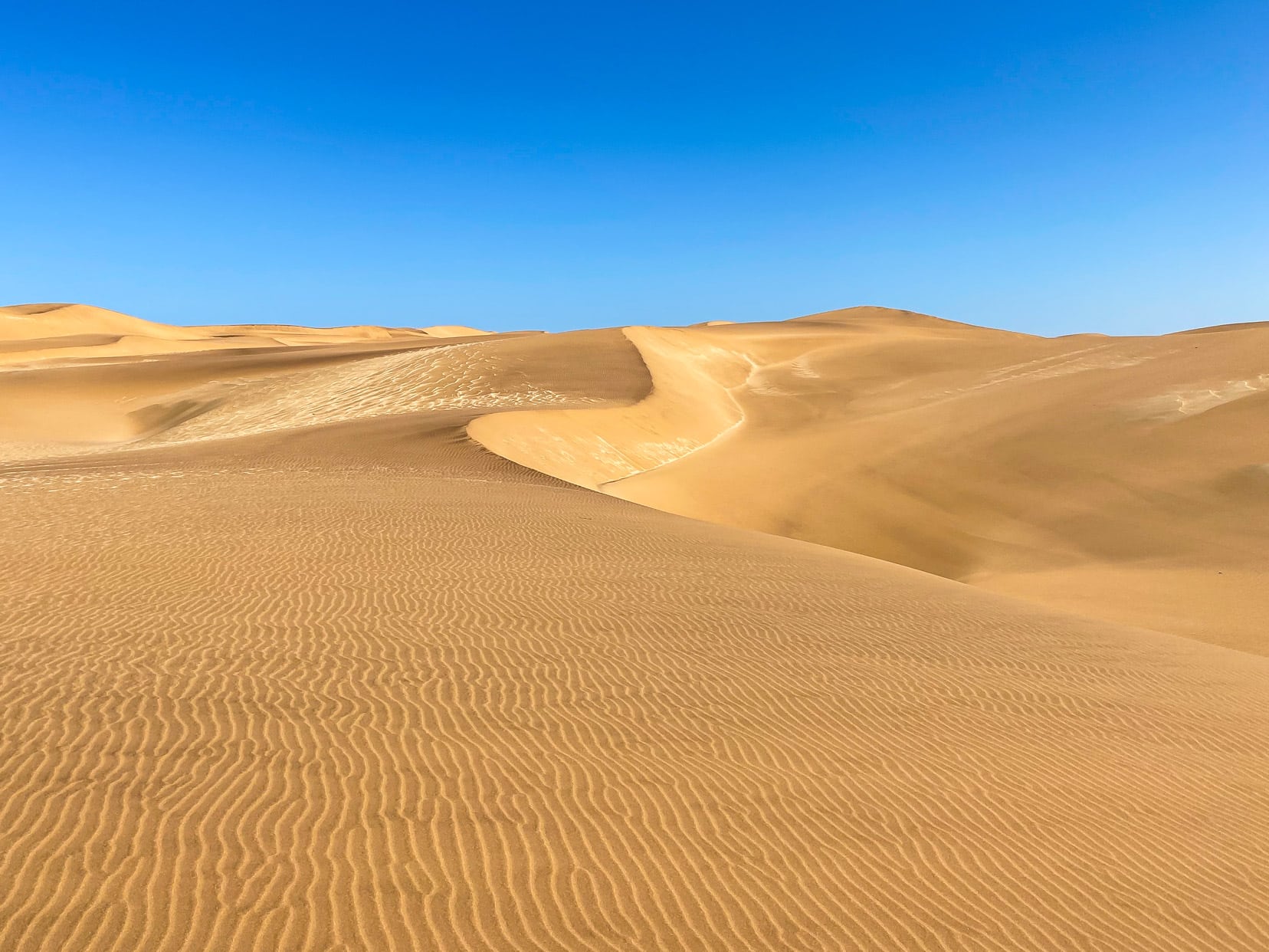 Dorob desert view of sand dunes