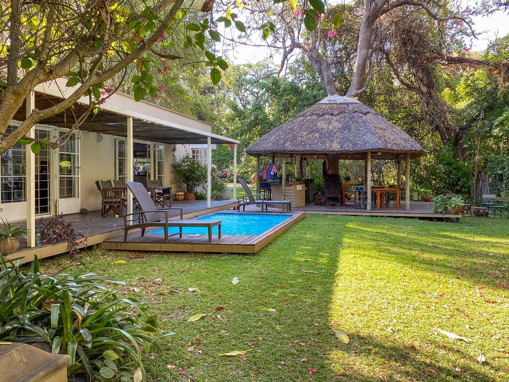 backyard of a home with pool and large , green shady trees on a sunny day