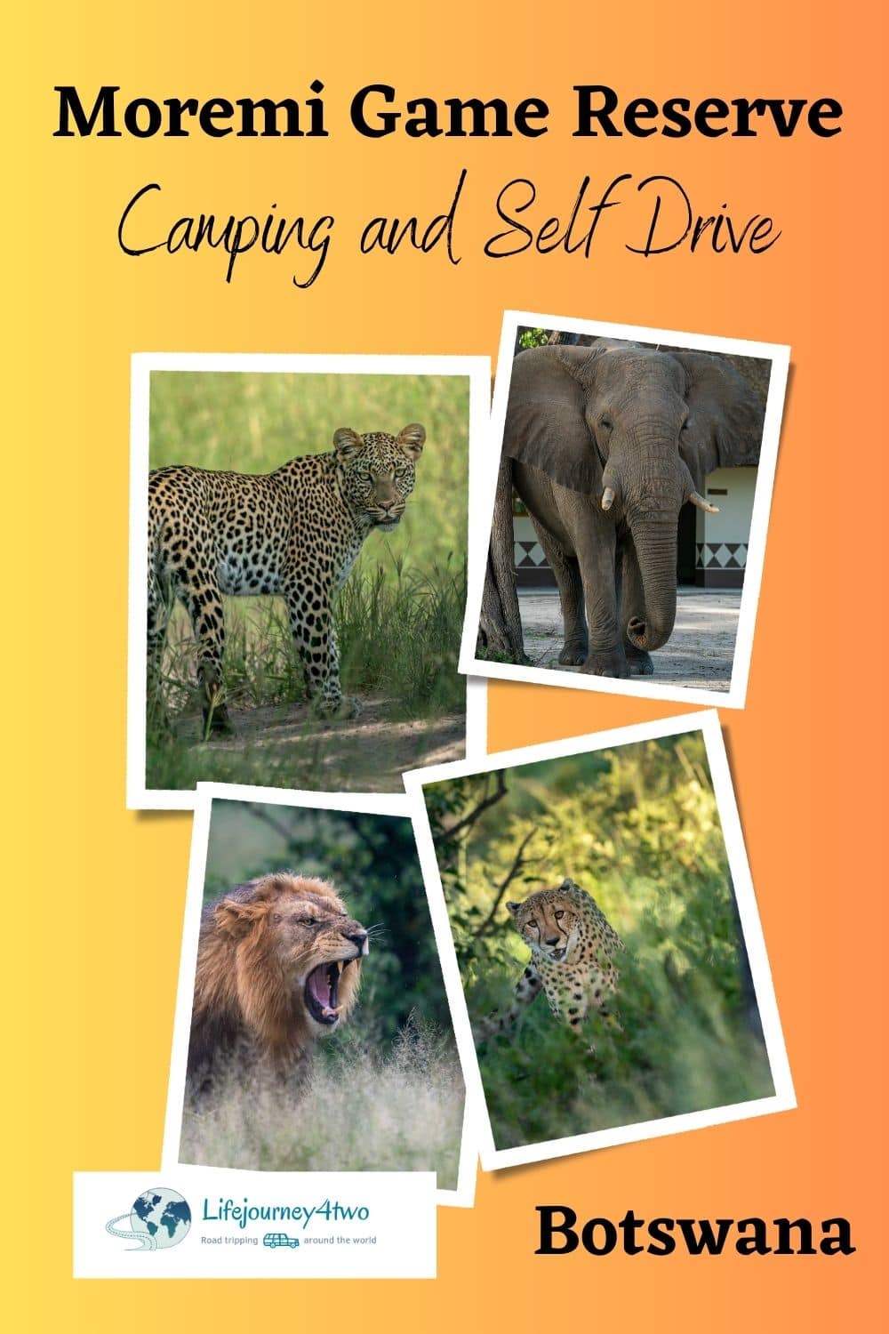 Moremi game reserve camping pinterest pin