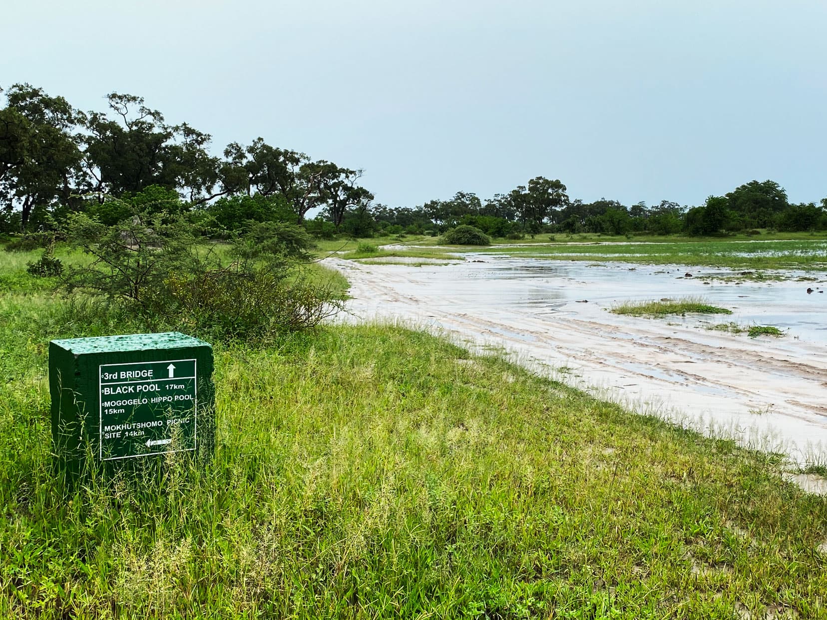 Moremi-game-reserve-self-drive-Black-pools-sign-and-flooded-road-